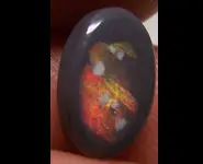 SOLID OPALE NOIRE 1.35 CT AUSTRALIE