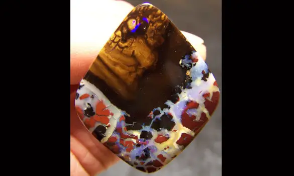 OPALE KOROIT 36 CT QUEENSLAND