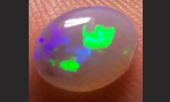 SOLID OPALE CRISTAL 0.85 CT HARLEQUIN