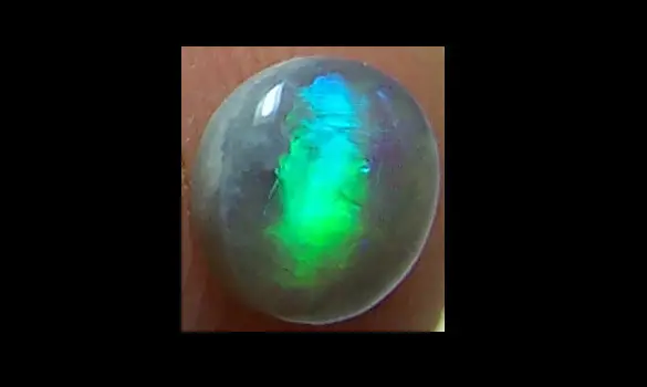 SOLID BLACK OPAL 0.25 CT AUSTRALIA, LR