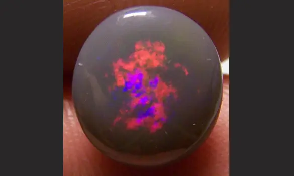 SOLID BLACK OPAL 3.65 CT AUSTRALIA