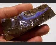 ROUGH BOULDER OPAL 297 CT QUEENSLAND