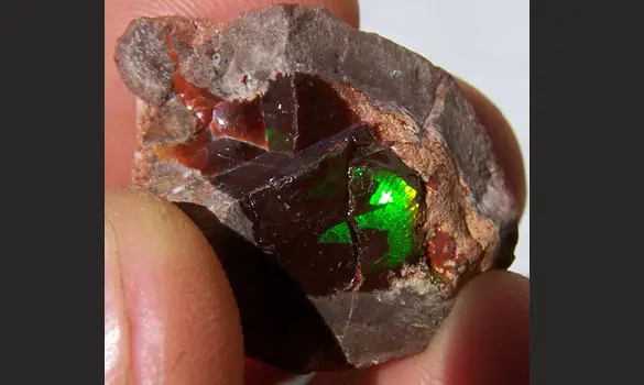 NODULE 47 CT OPALE CHOCOLAT BRUTE