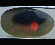 SOLID OPALE NOIRE 2.40 CT AUSTRALIE