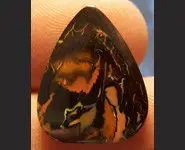 KOROIT OPAL 18.15 CT AUSTRALIA QLD