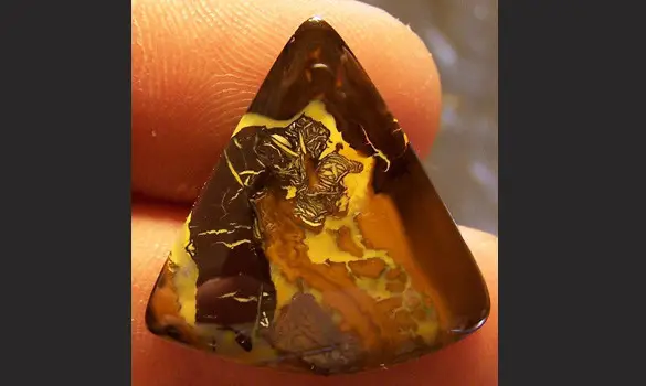 OPALE KOROIT 21.90 CT AUSTRALIE QLD