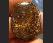 OPALE KOROIT 29.45 CT AUSTRALIE QLD