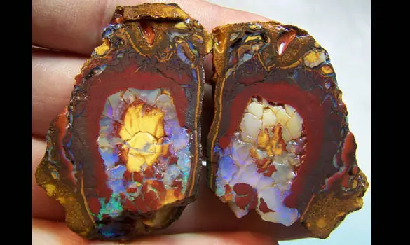 ROUGH KOROIT OPAL 188 CT QUEENSLAND