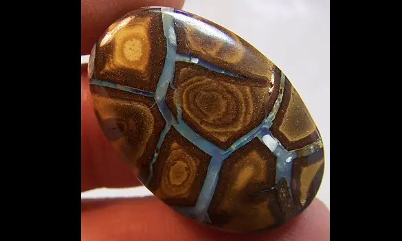 OPALE KOROIT 47.50 CT AUSTRALIE QLD