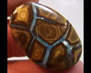 OPALE KOROIT 47.50 CT AUSTRALIE QLD