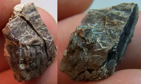 VIRGIN VALLEY OPAL WOOD NEVADA USA