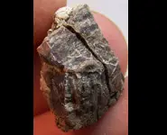 VIRGIN VALLEY OPAL WOOD NEVADA USA