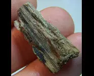 VIRGIN VALLEY OPAL WOOD NEVADA USA